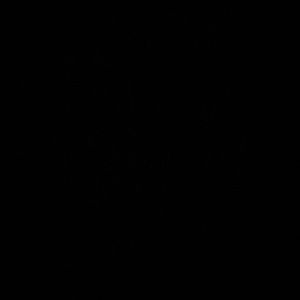 Meet your Posher, Alexander